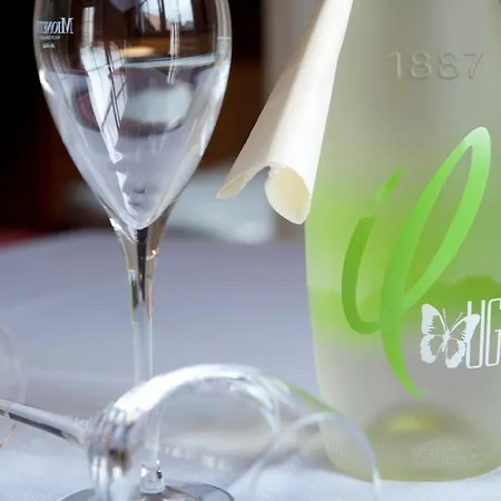 Cafe Ilius Aparthotel Fieberbrunn